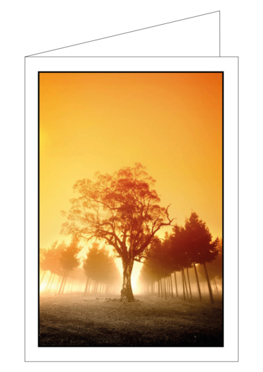Sterbeandenken  "Sonnenuntergang 1" ohne Trauerfoto