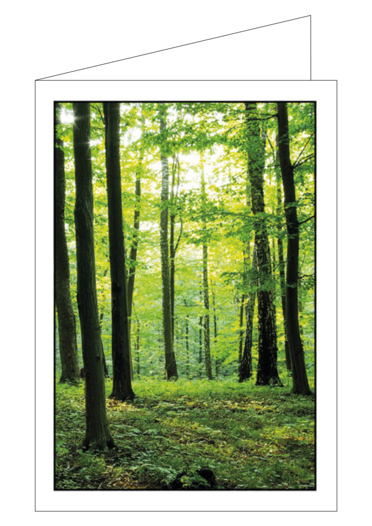 Sterbeandenken  "Wald 2"