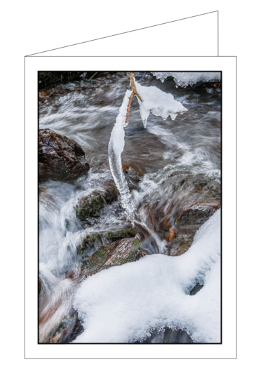 Sterbeandenken  "Winter 2"